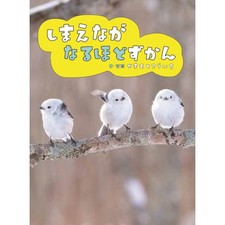 Shimaenaga Naru Naru Zukan Hardcover Book Japanese Edition Cute Bird Photos Used