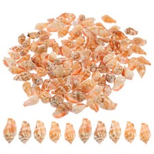 100 Pcs Creative Conch Decor Sea Shells for Craft Desktop Exquisite