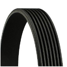 Continental Ctam Keilrippenriemen 22507248 für KIA Hyundai