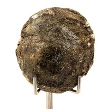 Biotita. Montaña Freita 145,5 quilates, Arouca, Aveiro, Portugal.