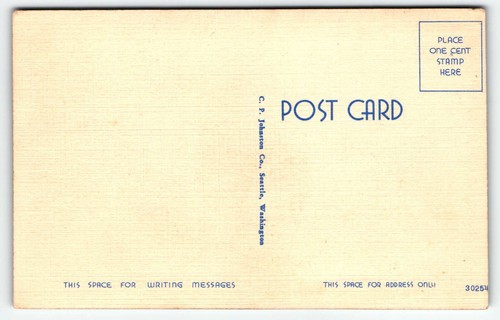 Humor Postcard I'm out on a H--- of a time in Washington Kick My A-- UNP - Picture 2 of 2