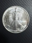 1991 American Silver Eagle Uncirculated 1oz .999 Fine Silver United States Coin
