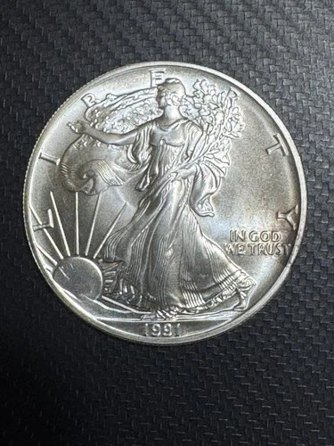 1991 American Silver Eagle Uncirculated 1oz .999 Fine Silver United States Coin