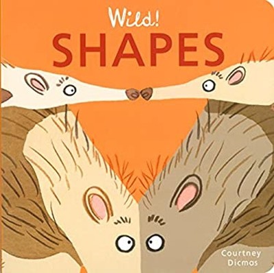 Shapes Spiral Courtney Dicmas
