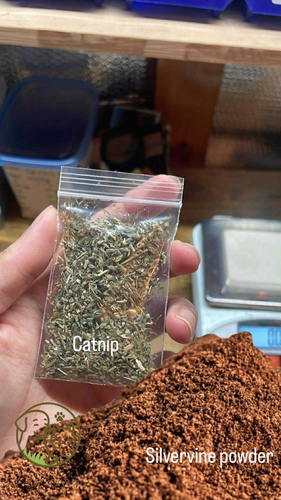 Extra Strong Catnip - Premium Catnip & Silvervine Blend | Safe Natural Cat Toy