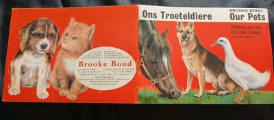 Brookebond Tea Our Pets leeres Album