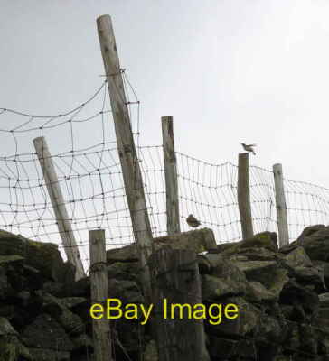 Foto 6x4 Vögel auf einem Begrenzungszaun auf dem Derlwyn Gipfelgrat Nant Peri c2006