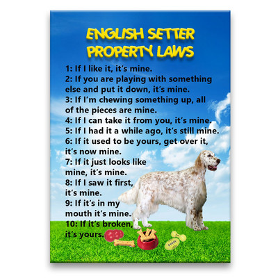 ENGLISH SETTER Property Laws FRIDGE MAGNET Steel Case Funny