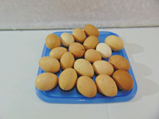 Chicken Eggs - Empty Real Blown Eggs Multiple...