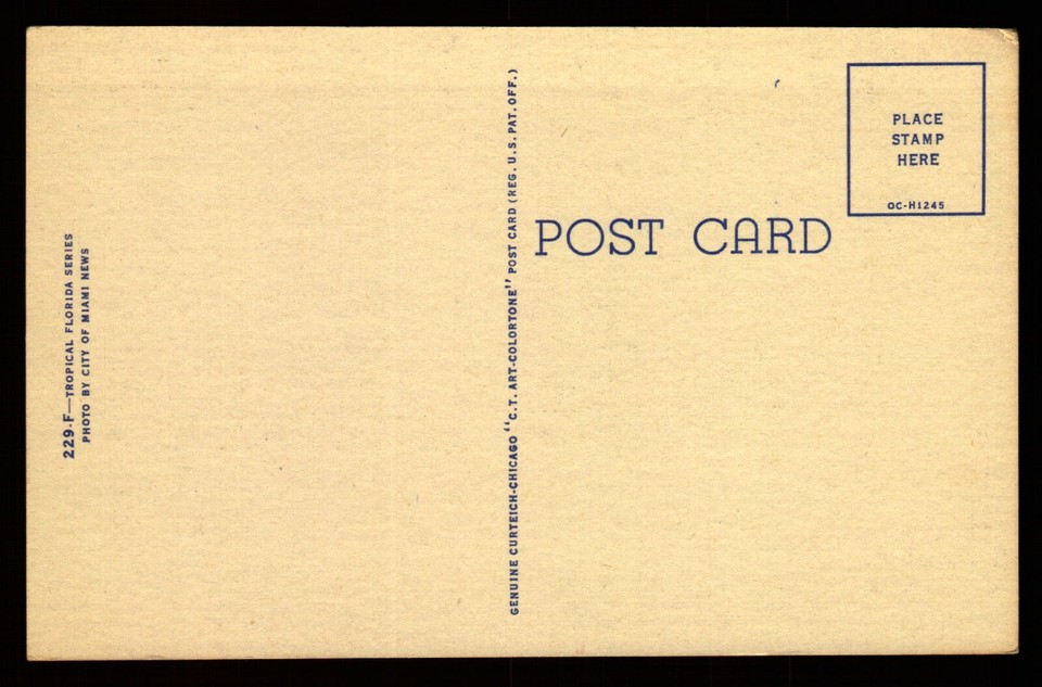 Postcard Florida Greyhound Racing They're Off Starting Gate Dog Track