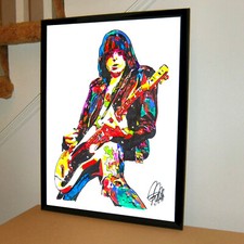 Johnny Ramone Ramones Guitar Punk Rock Music Poster Print Wall Art 18x24