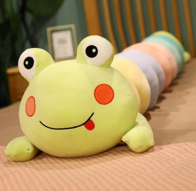 Frog pillow 2024
