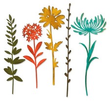New Sizzix Thinlits Wildflower Stems #1 #664163 5pk Retail $22.99 by Tim Holtz