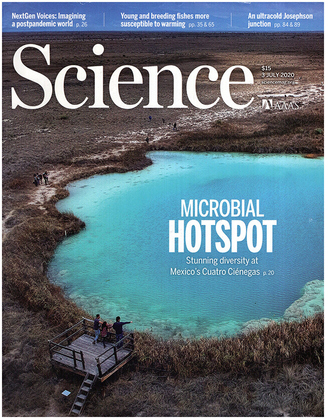 Science Magazine (Vol 369, No. 6499, 5 July 2020)