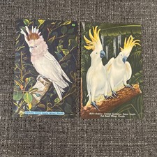 Vintage Linen Postcards Miami, FL~ Cockatoo’s At Parrot Jungle