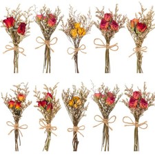10 Pack Red Rose Dried Flower Bouquets Natural Real Dry Flowers with Stem Min...
