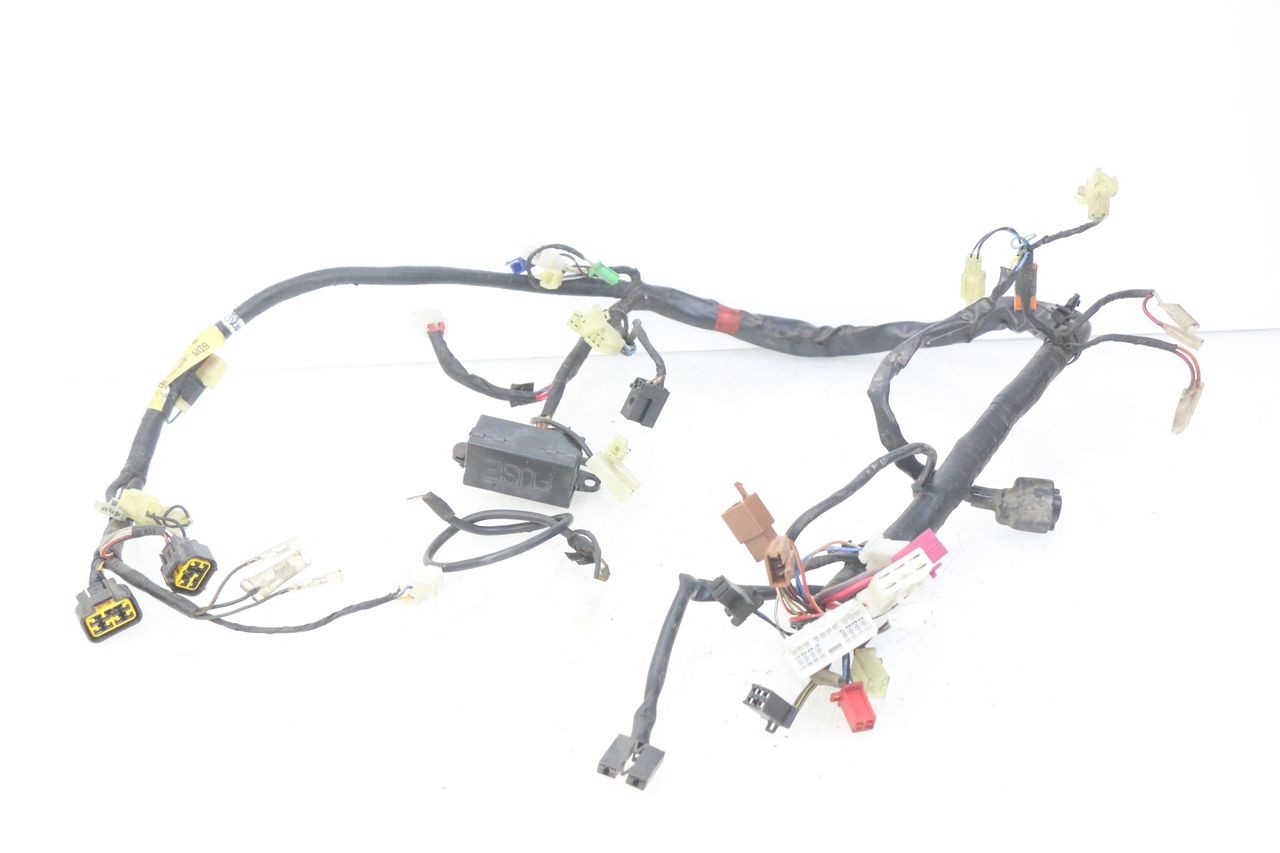 WIRING HARNESS - YAMAHA FZS FAZER 600 (1998 - 2001)
