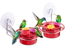 Hummingbird Feeder Window Mount Strong Suction Cup Mini Feeders
