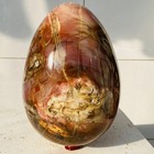 Natural Petrified Wood Egg Quartz Crystal Fossil Mineral 6460g — photo 6