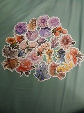 Floral sticker assortment, new, 24 pieces