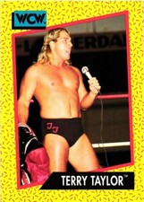 1991 Impel WCW #73 Terry Taylor Wrestling Card