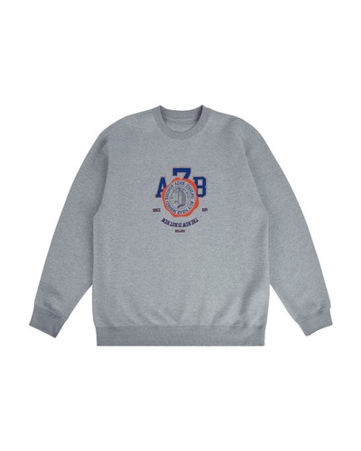 Diesel 25Ss S-Ruben Destroy Sweat Sweatshirt A18216 Gray S 18979M