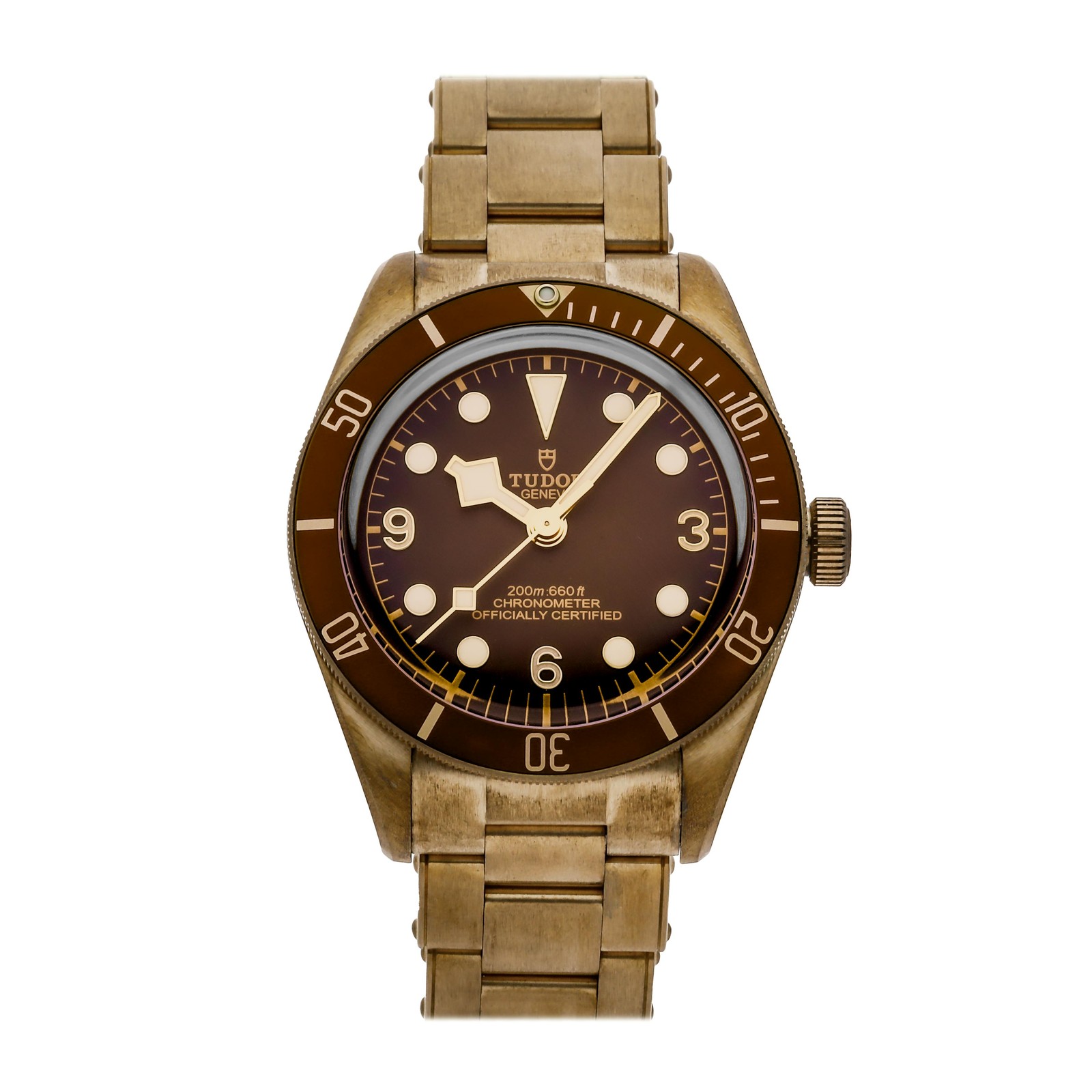 Tudor Black Bay 58 Bronze Rivet
