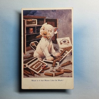 Comic Postkarte um 1930 Bonzo Hund kauen Zigarrenkiste George Studdy Künstler signiert