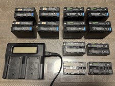 Dual Battery LCD Rapid Charger for Sony NP-F F-550 F-750 F-970 w/ 12 Batteries