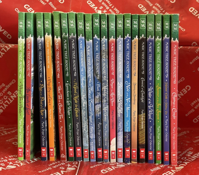 Magic Tree House MERLIN MISSIONS Series Books 29-48 - Lot of 20