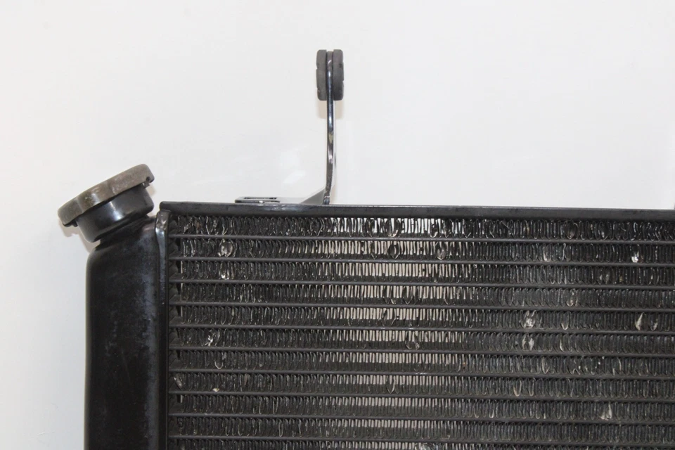 04-09 SUZUKI VSTROM 650 DL650 OEM MOTOR RADIADOR MOTOR ENFRIADOR RADIADOR DE REFRIGERACIÓN Foto 2 de 4