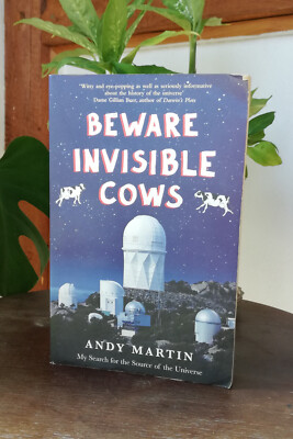 Beware Invisible Cows Andy Martin englisch search for the source of the universe