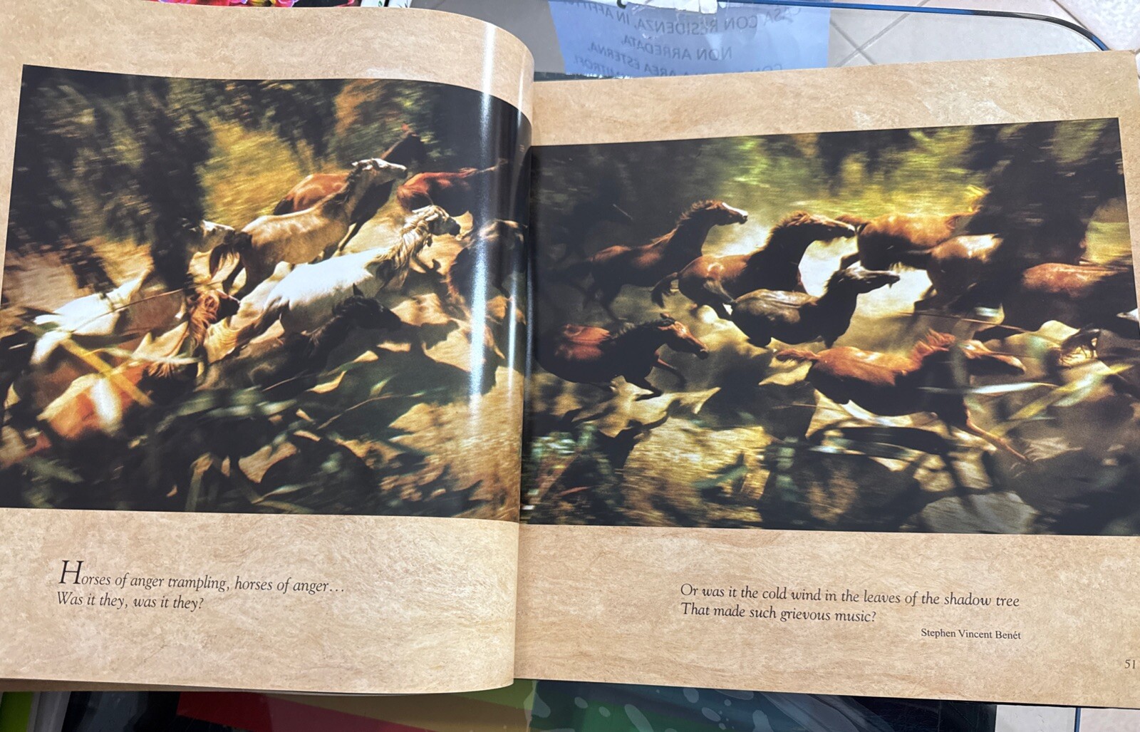 Foto 3 di 8