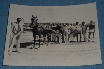 1980 Harness Racing Press Photo Horse ''Three Times One'' Abe Stoltzfus Monticello