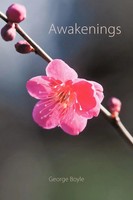Awakenings | George Boyle | Taschenbuch | Kartoniert / Broschiert | Englisch