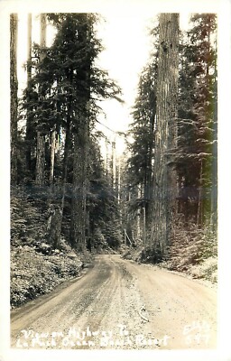 1930s Olympic Peninsula La Push Washington View on highway RPPC Postcard 25-3911