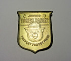 Vintage Junior Forest Ranger Smokey Bear Brass Badge Pin Prevent Forest Fires — photo 2