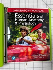 Essentials of Human Anatomy