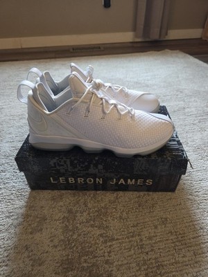 Nike Lebron 14 (XIV) Low Sz 14 Ice. (NEW WITH ORIGINAL BOX) Read