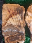 Rough 2 Slabette Lot Banded Rhyolite 128g. 5/16" Thick Lapidary Cabbing #WB-1 — photo 2