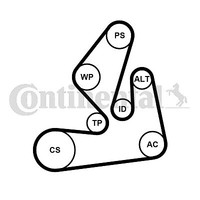 Continental Ctam Keilrippenriemensatz (7PK1970K1) FüR Renault Laguna Ii Nissan