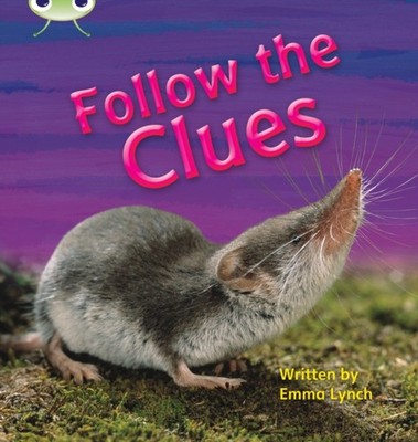 PHONICS BUG FOLLOW THE CLUES PHASE 5 by Emma Lynch Paperback Self Help Business