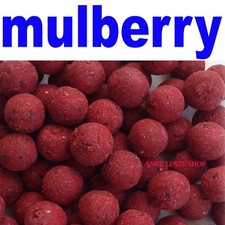 boilies carpfishing pastura pesca carp fishing aromi boilie boiles mulberry 