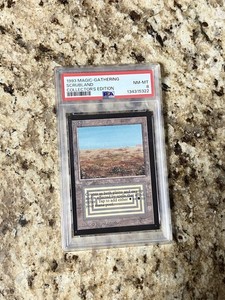 Scrubland Mtg | eBay