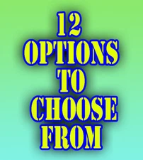 H13 Talavera Double  switch  wall Plate Mexico Amigos Pottery light  Hand MX art