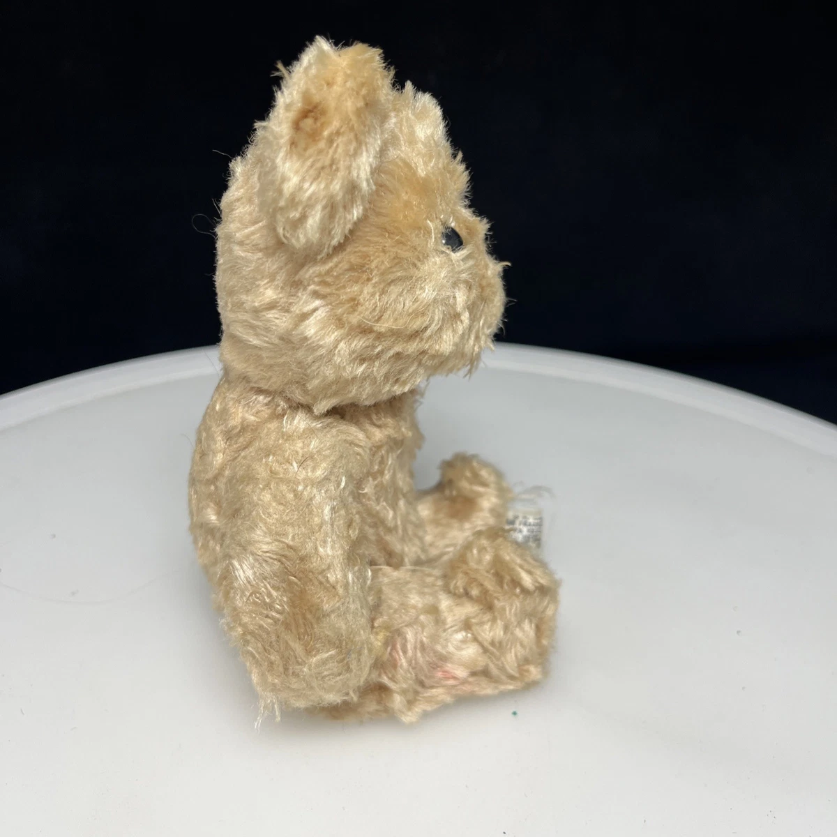 r dakin bear products for sale | eBay