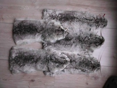 A Chinchilla Fur Chinchilla GENUINE (not a Rabbit)