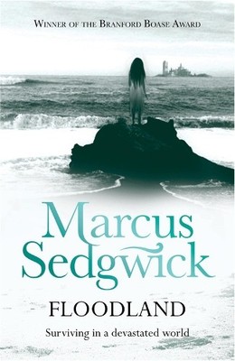 Marcus Sedgwick Floodland (Taschenbuch)
