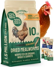 Dried Mealworms - 10 Lb Bag - Non-GMO Dried Mealworms for Chickens, Ducks