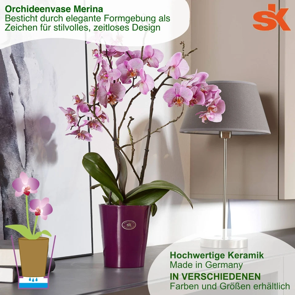 MePla - 2 Stück - Orchideenübertopf Merina + Planztopf - Bild 3 von 4